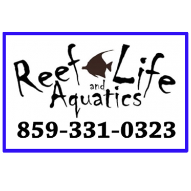 Reef Life Aquatics